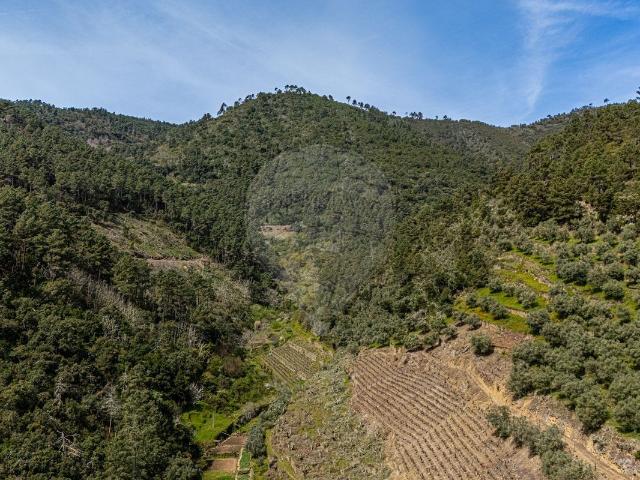 Terreno à venda em Sabrosa