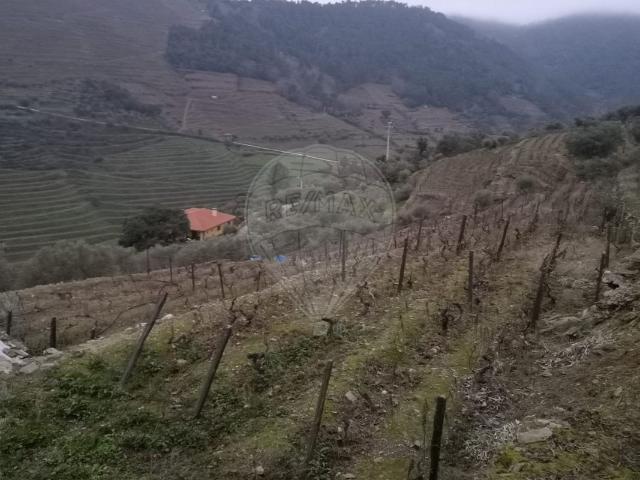 Terreno à venda em Sabrosa