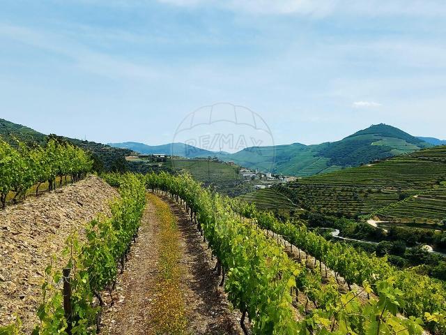 Terreno à venda em Sabrosa, Sabrosa RE/MAX Portugal