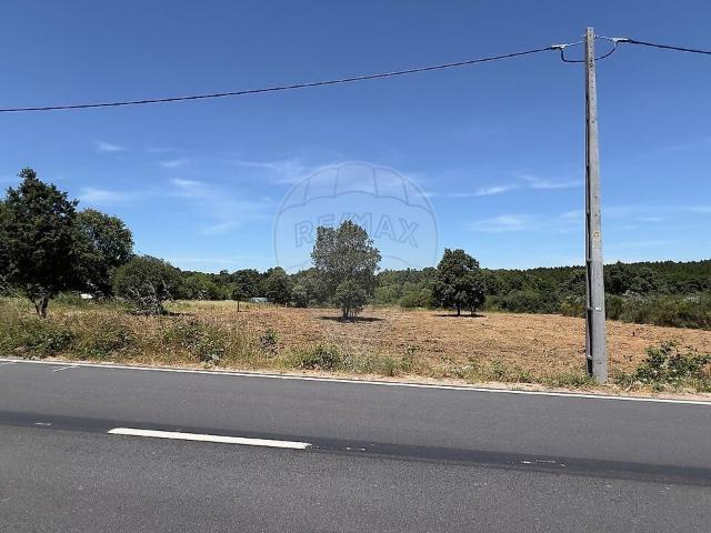 Terreno à venda em Sabugal e Aldeia de Santo António, Sabugal RE/MAX Portugal