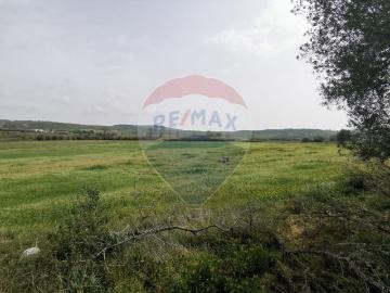 Terreno à venda em Sabugo