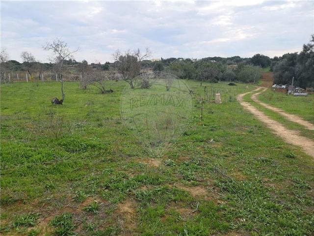 Terreno à venda em Salicos