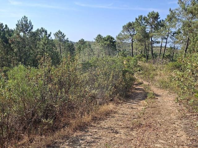 Terreno à venda em Salir, Loulé RE/MAX Portugal