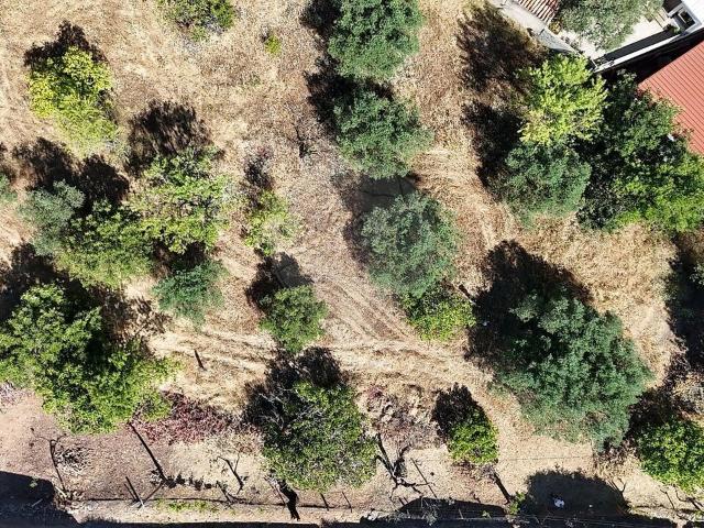 Terreno à venda em Salir, Loulé RE/MAX Portugal