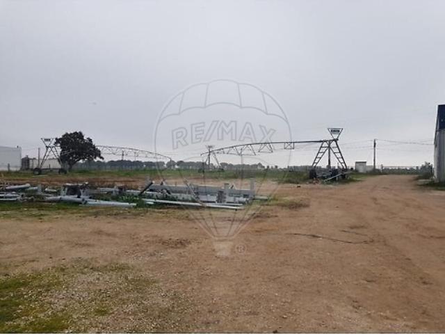 Terreno à venda em Salvaterra de Magos e Foros de Salvaterra, Salvaterra de Magos RE/MAX Portugal
