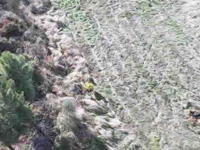 Terreno à venda em Samões, Vila Flor