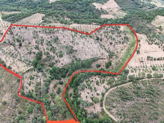Terreno à venda em Sambade, Alfândega da Fé RE/MAX Portugal