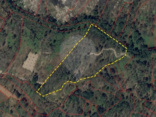 Terreno à venda em Sameice e Santa Eulália, Seia RE/MAX Portugal