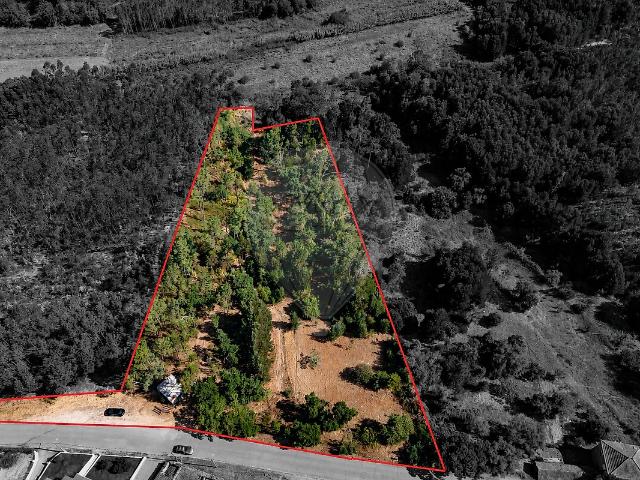 Terreno à venda em Samuel, Soure RE/MAX Portugal