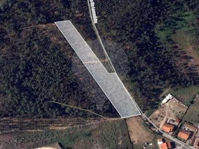Terreno à venda em Sangalhos, Anadia RE/MAX Portugal