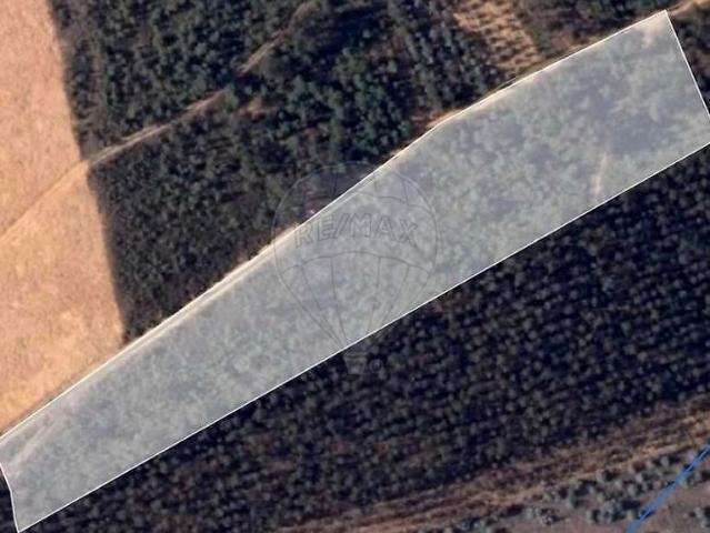 Terreno à venda em Sangalhos, Anadia RE/MAX Portugal