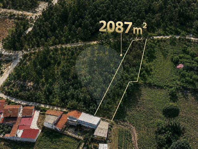 Terreno à venda em Sangalhos, Anadia RE/MAX Portugal