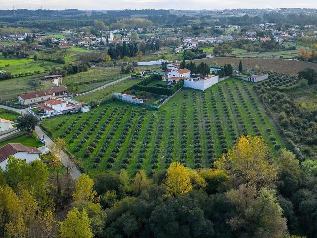 Terreno à venda em Sangalhos, Anadia RE/MAX Portugal