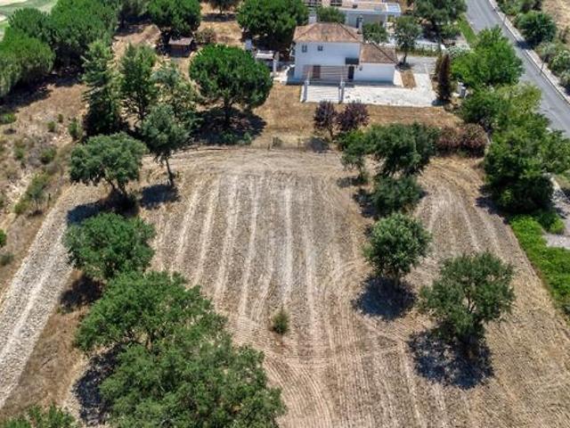 Terreno à venda em Santo Estevão, Benavente RE/MAX Portugal