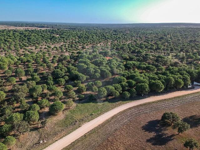 Terreno à venda em Santo Estevão, Benavente RE/MAX Portugal