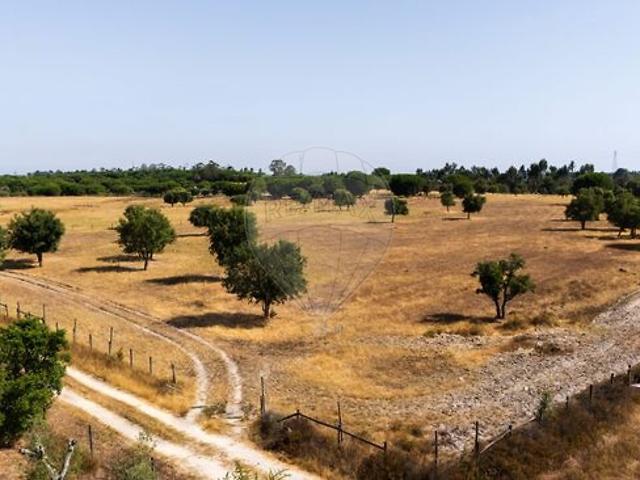 Terreno à venda em Santo Estevão, Benavente RE/MAX Portugal