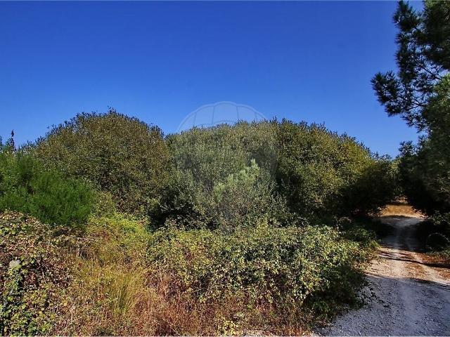 Terreno à venda em Santo Estevão, Benavente RE/MAX Portugal