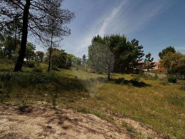 Terreno à venda em Santo Estevão, Benavente RE/MAX Portugal
