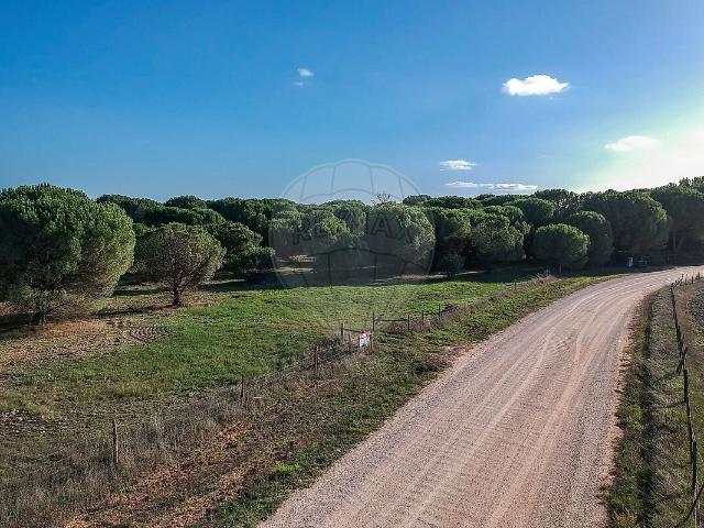 Terreno à venda em Santo Estevão, Benavente RE/MAX Portugal