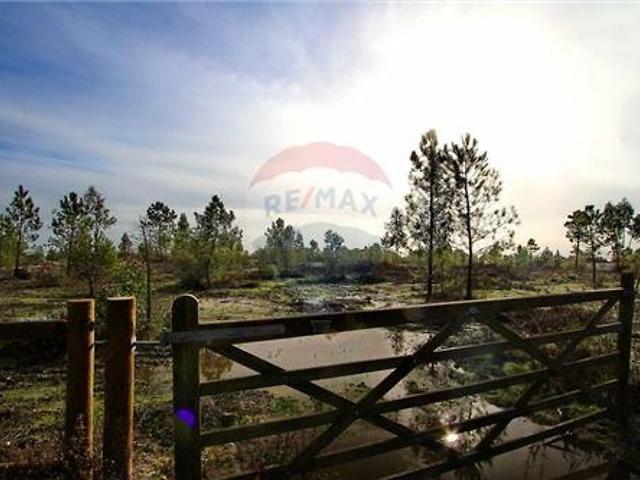 Terreno à venda em Santo Estevão, Benavente RE/MAX Portugal
