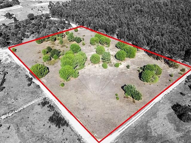 Terreno à venda em Santo Estevão, Benavente RE/MAX Portugal