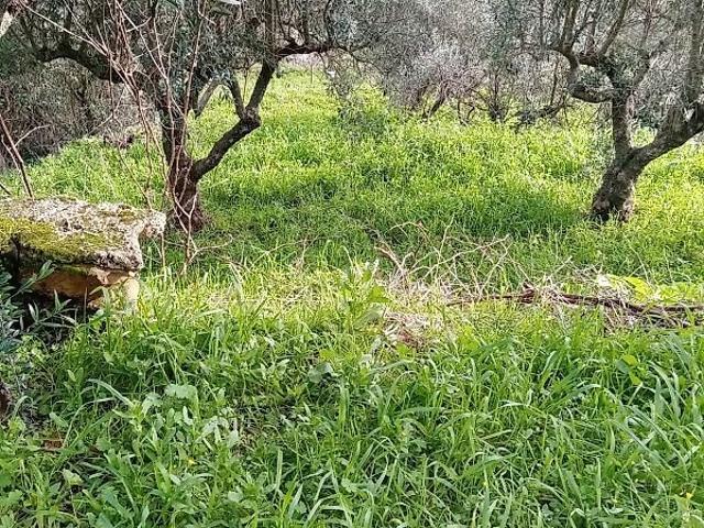 Terreno à venda em Santo Estêvão e Moita, Sabugal RE/MAX Portugal