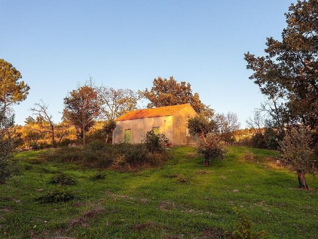 Terreno à venda em Santo Estêvão e Moita, Sabugal RE/MAX Portugal