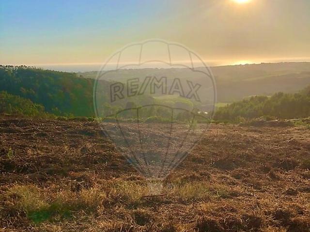 Terreno à venda em Santo Isidoro, Mafra RE/MAX Portugal
