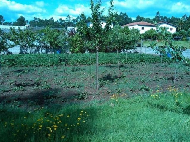 Terreno à venda em Santo Tirso