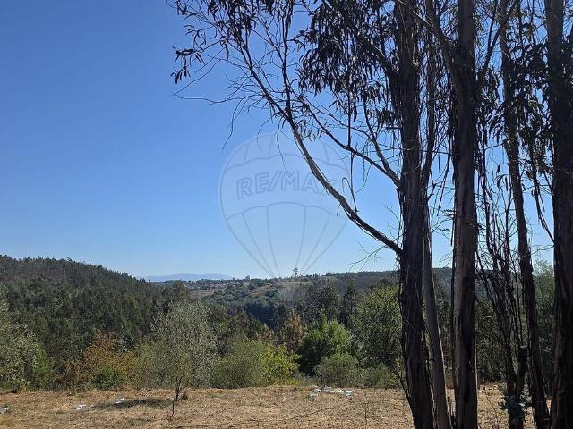 Terreno à venda em Santa Comba Dão e Couto do Mosteiro, Santa Comba Dão RE/MAX Portugal