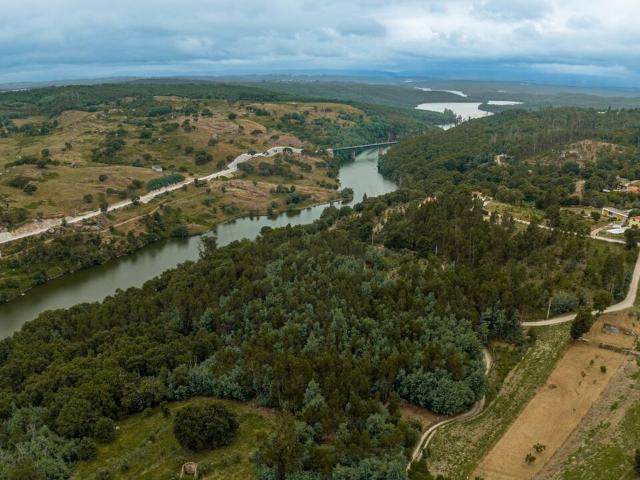 Terreno à venda em Santa Comba Dão e Couto do Mosteiro, Santa Comba Dão RE/MAX Portugal