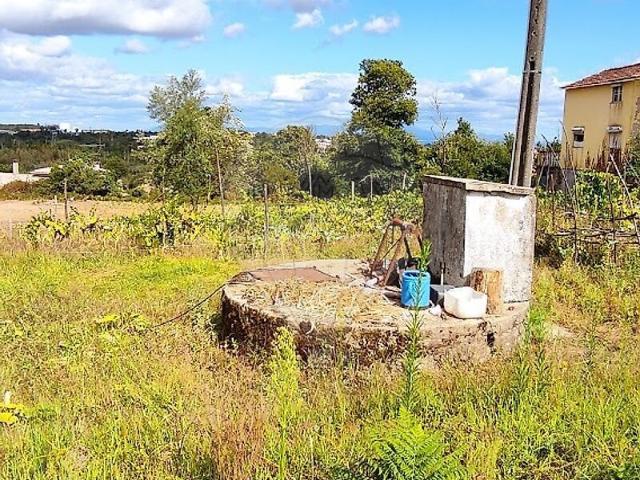Terreno à venda em Santa Comba Dão e Couto do Mosteiro, Santa Comba Dão RE/MAX Portugal