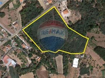 Terreno à venda em Santa Comba Dão