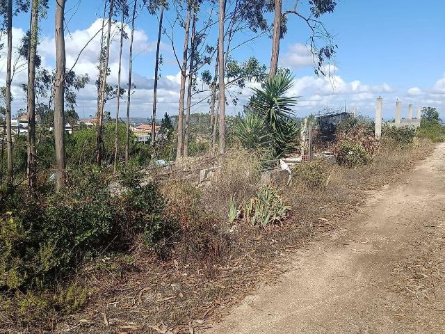 Terreno à venda em Santa Catarina da Serra e Chainça, Leiria RE/MAX Portugal