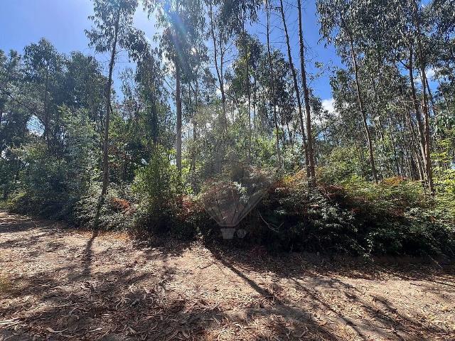 Terreno à venda em Santa Catarina da Serra e Chainça, Leiria RE/MAX Portugal