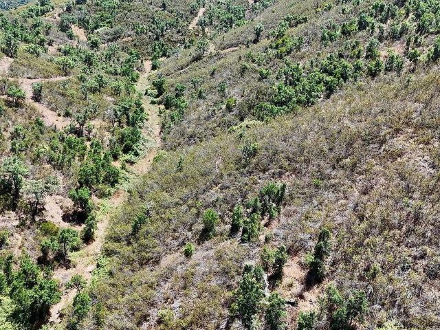 Terreno à venda em Santa Clara a Velha, Odemira RE/MAX Portugal