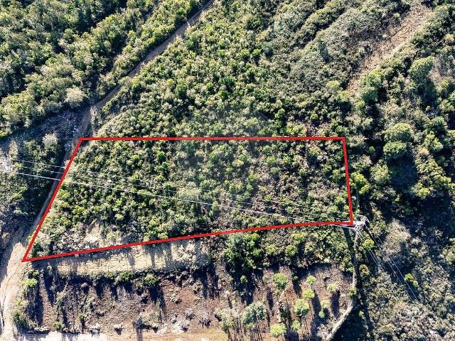 Terreno à venda em Santa Clara e Castelo Viegas, Coimbra RE/MAX Portugal