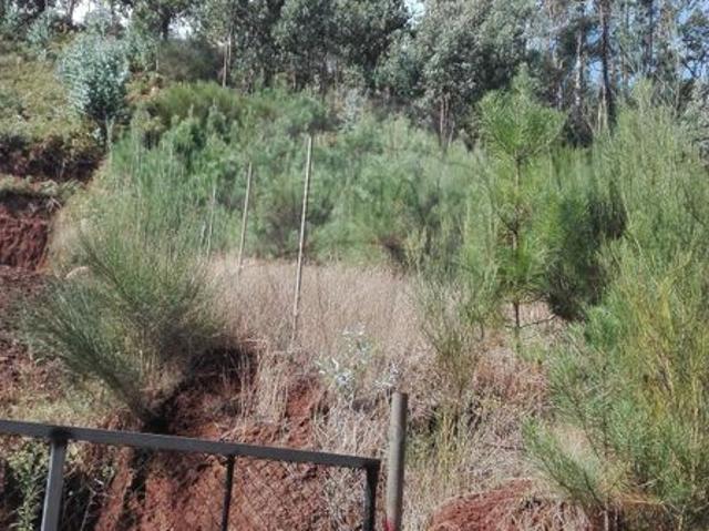 Terreno à venda em Santa Cruz