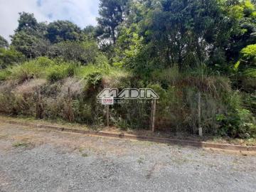 terreno à venda em Santa Cruz