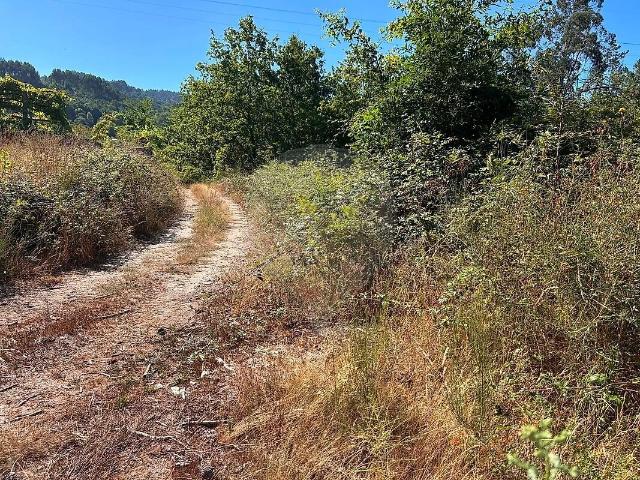 Terreno à venda em Santa Cruz do Lima, Ponte de Lima RE/MAX Portugal