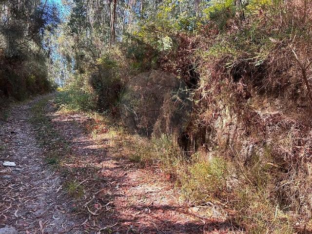 Terreno à venda em Santa Cruz do Lima, Ponte de Lima RE/MAX Portugal
