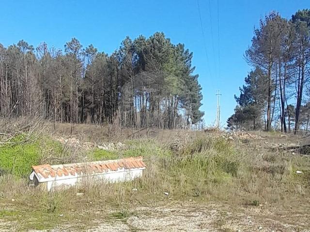 Terreno à venda em Santa Cruz/Trindade e Sanjurge, Chaves RE/MAX Portugal