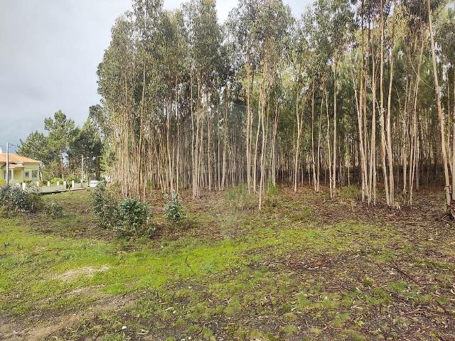 Terreno à venda em Santa Eufémia e Boa Vista, Leiria RE/MAX Portugal