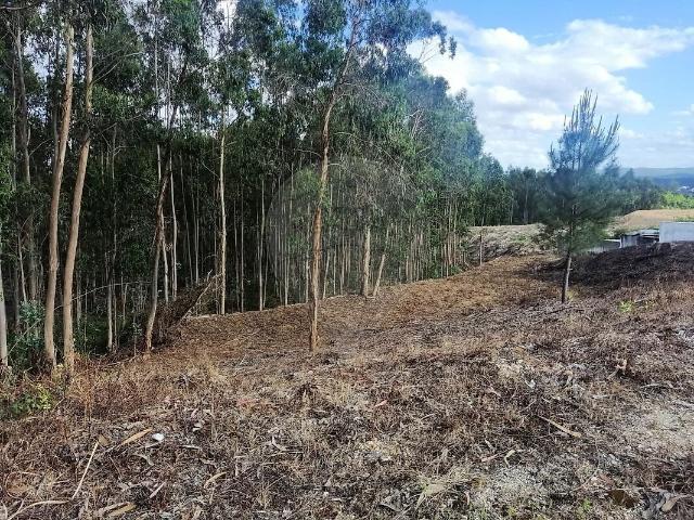 Terreno à venda em Santa Eufémia e Boa Vista, Leiria RE/MAX Portugal