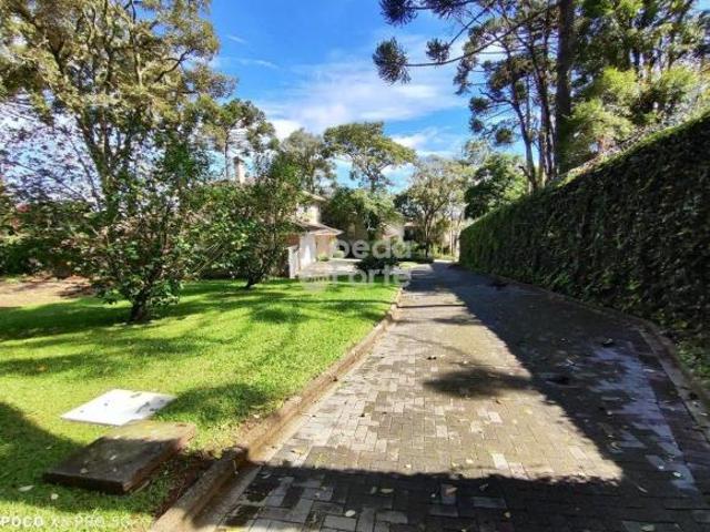 Terreno à venda em Santa Felicidade