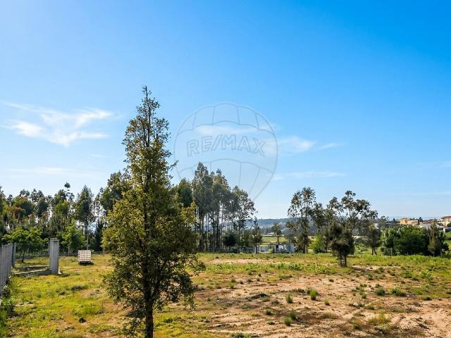 Terreno à venda em Santa Ovaia e Vila Pouca da Beira, Oliveira do Hospital RE/MAX Portugal