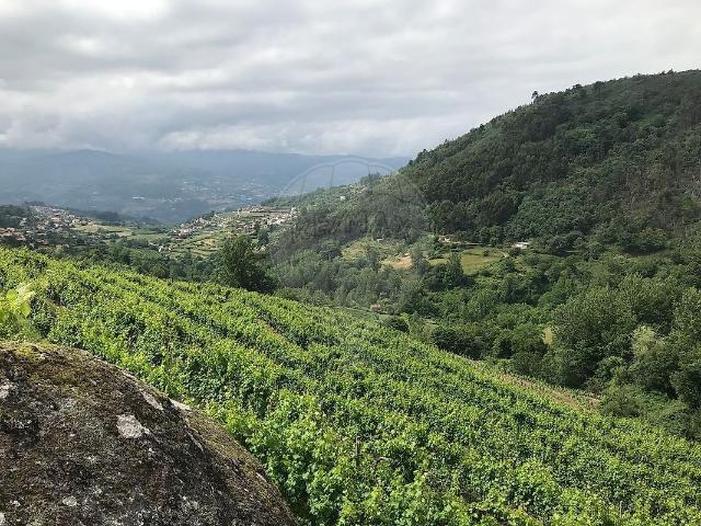 Terreno à venda em Santa Marinha do Zêzere, Baião RE/MAX Portugal