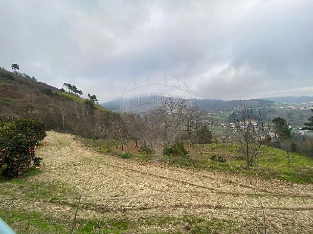Terreno à venda em Santa Marinha do Zêzere, Baião RE/MAX Portugal
