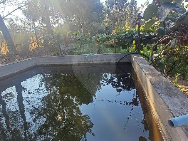 Terreno à venda em Santa Marinha e São Martinho, Seia RE/MAX Portugal