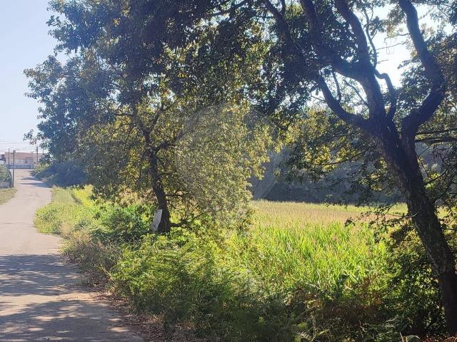 Terreno à venda em Santa Maria da Feira